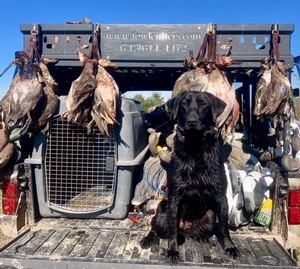 Duck Hunts